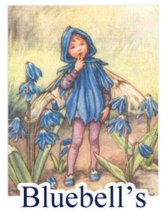 Bluebells E-Gift Voucher